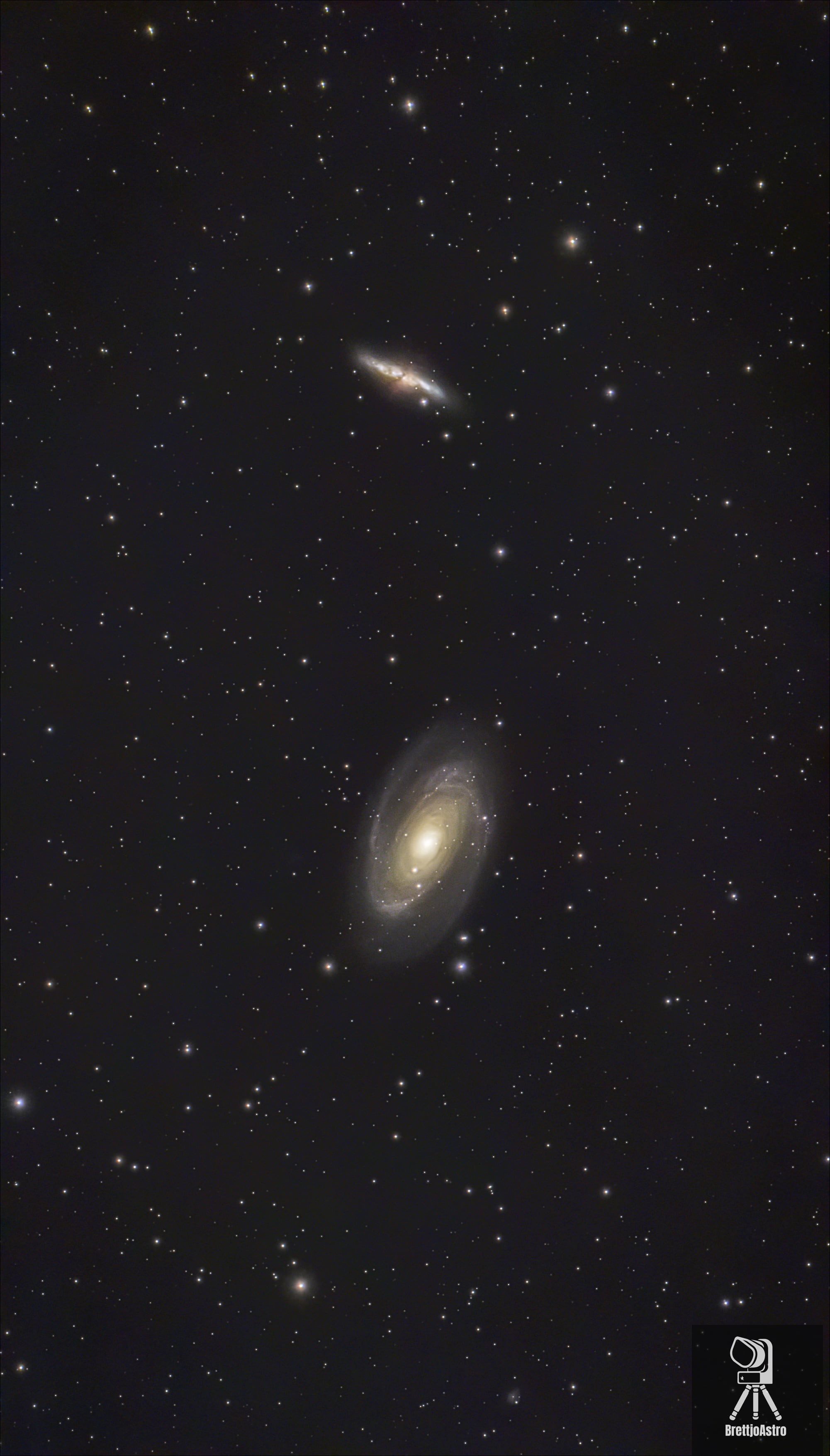 Bode's Galaxy (M 81)