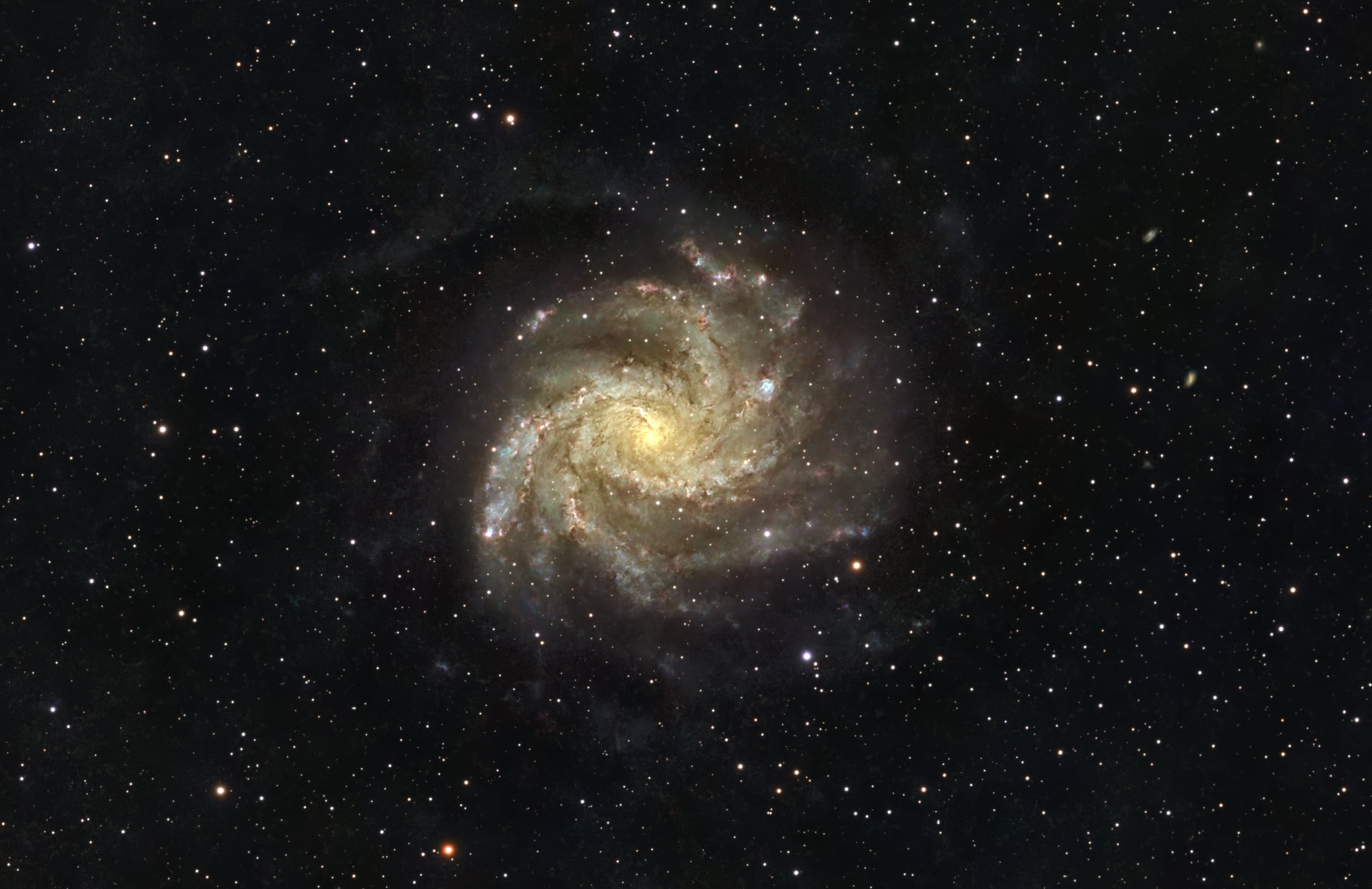 Fireworks Galaxy (NGC 6946)