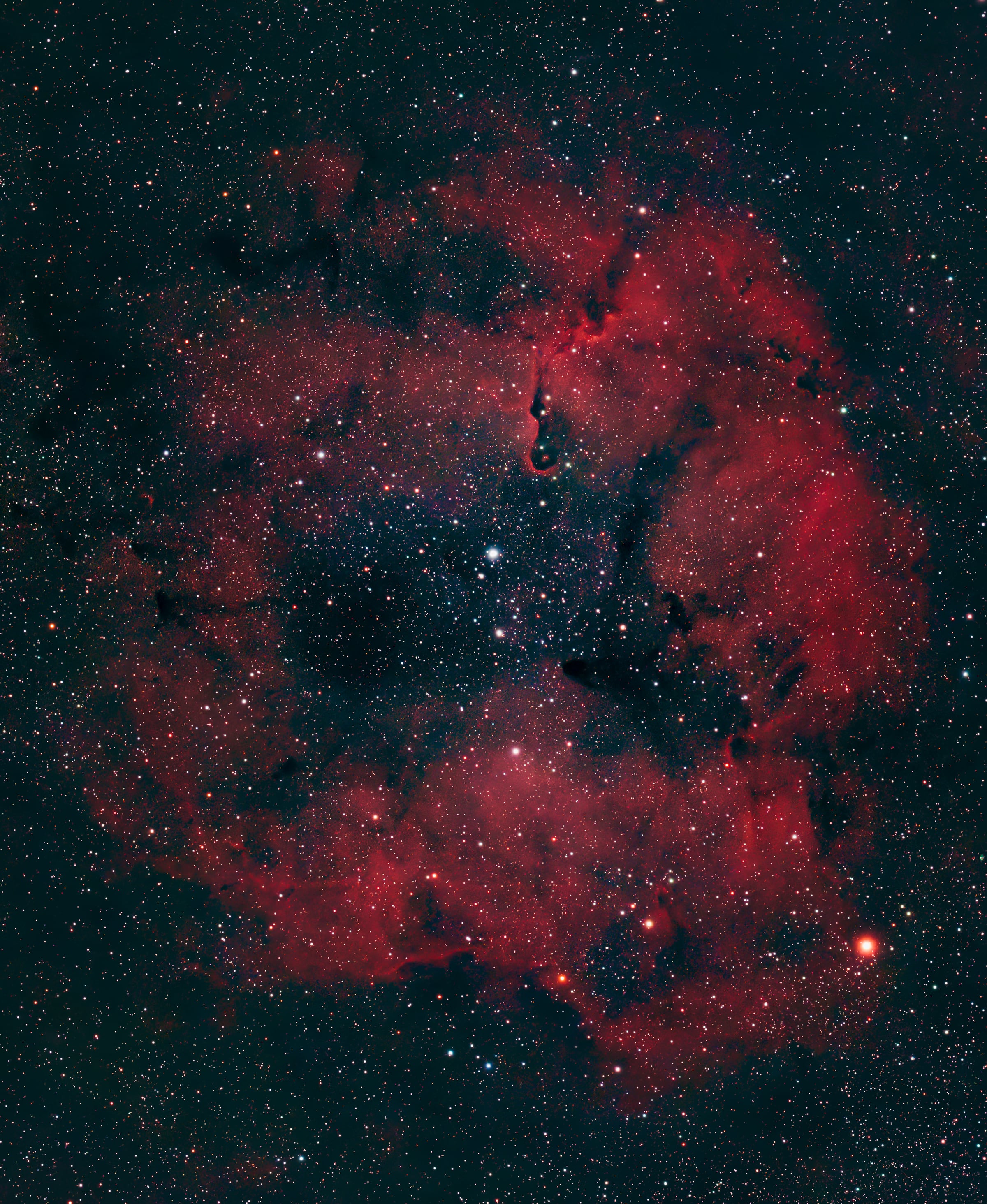 Elephant's Trunk Nebula (IC 1396)