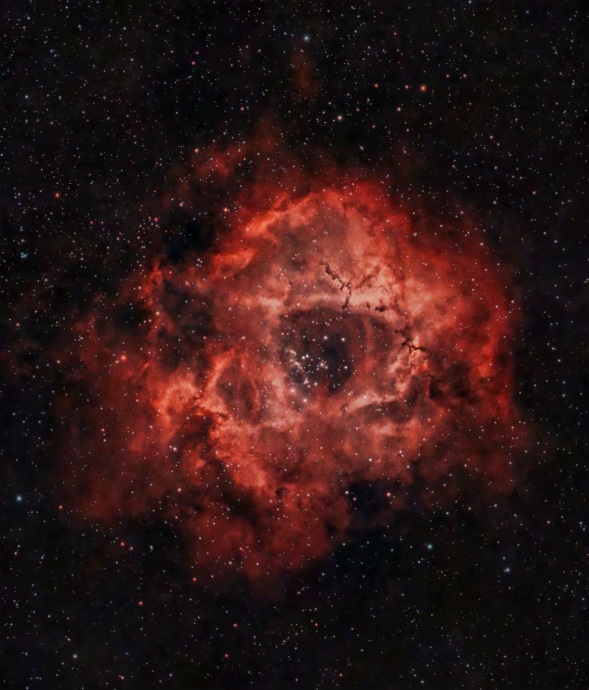 Rosette Nebula (NGC 2237)
