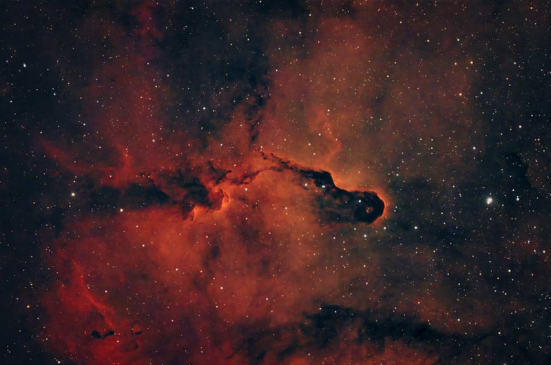 Elephant's Trunk Nebula (IC 1396)