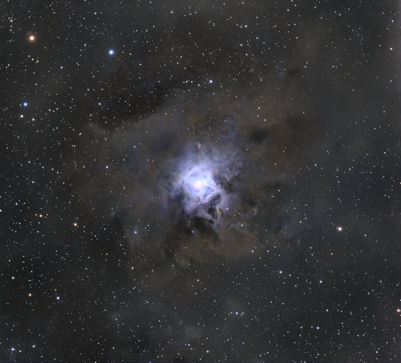 Iris Nebula (NGC 7023)
