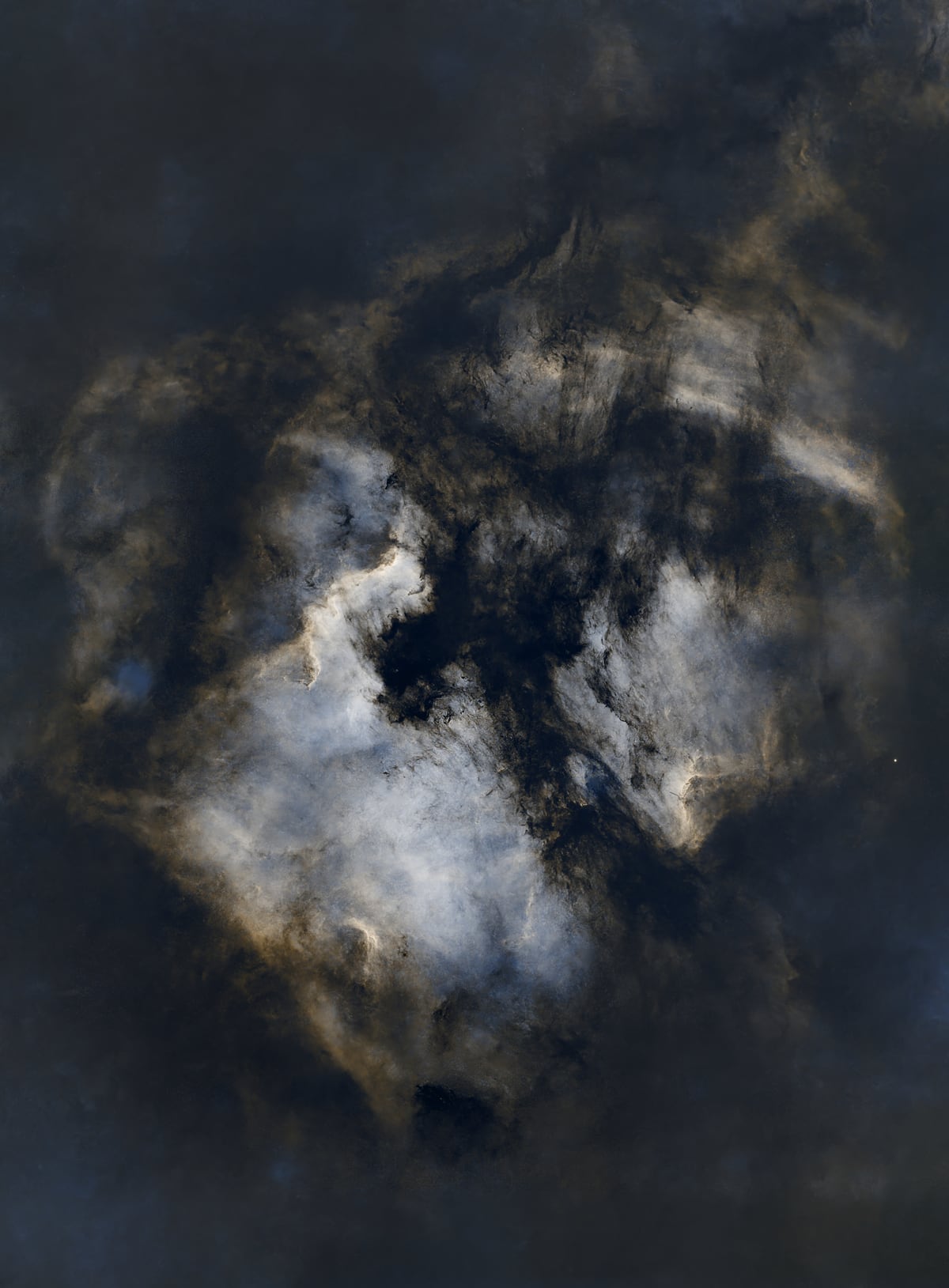 North America Nebula (NGC 7000)