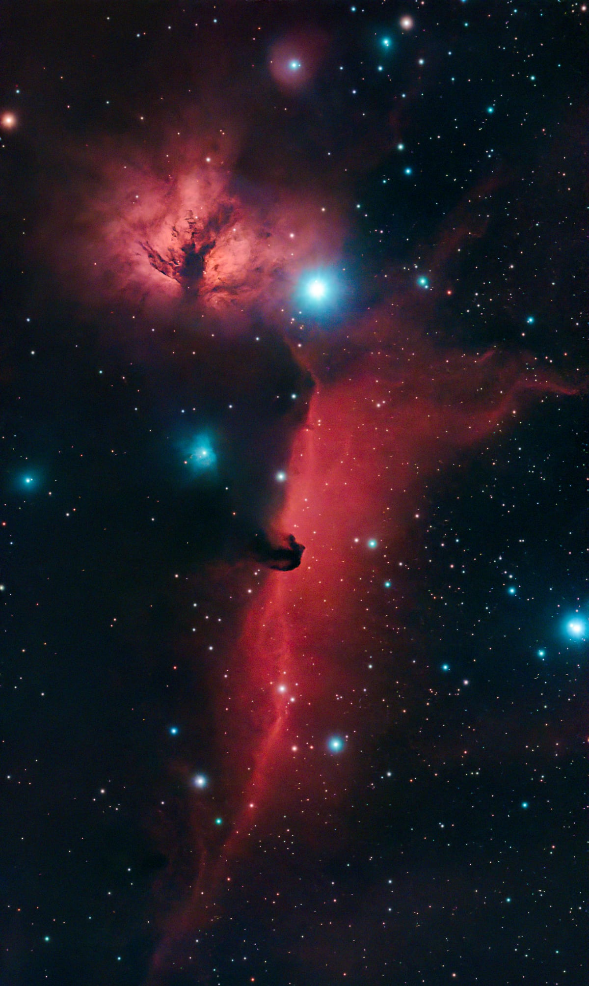 Horsehead Nebula (B 33)